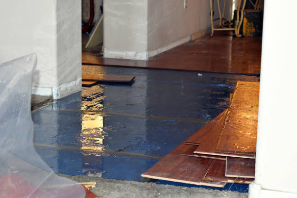 Professional Burst Pipe Cleanup technician working in Climax, MI